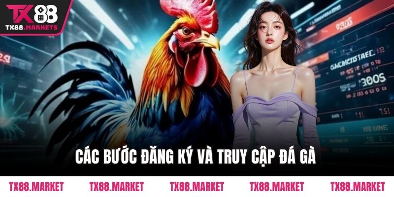 Các bước đăng ký và truy cập Đá Gà 
