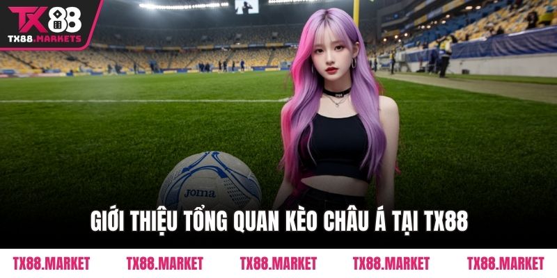 Giới thiệu tổng quan kèo châu Á tại TX88