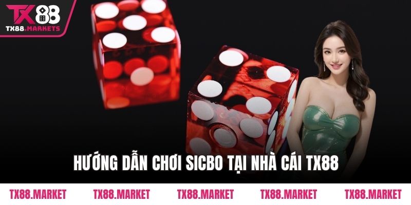 Hướng dẫn chơi Sicbo tại nhà cái TX88