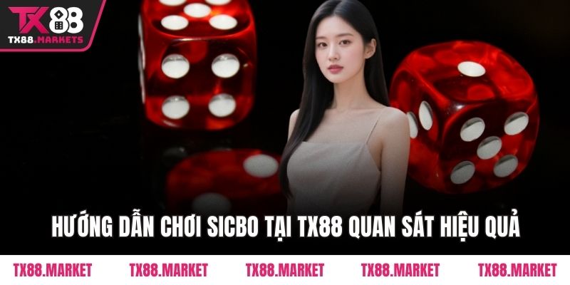 Hướng dẫn chơi Sicbo tại TX88 quan sát hiệu quả