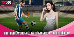 Kinh nghiệm chơi kèo Tài Xỉu tại TX88