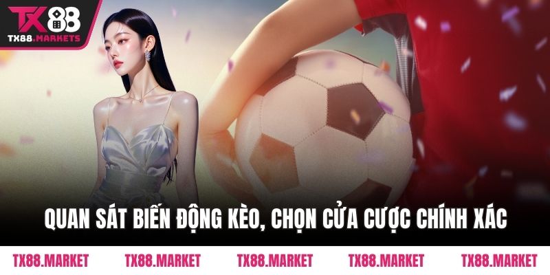 Quan sát biến động kèo, chọn cửa cược chính xác