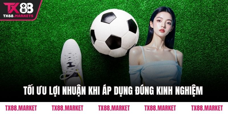 Tối ưu lợi nhuận khi áp dụng đúng kinh nghiệm 